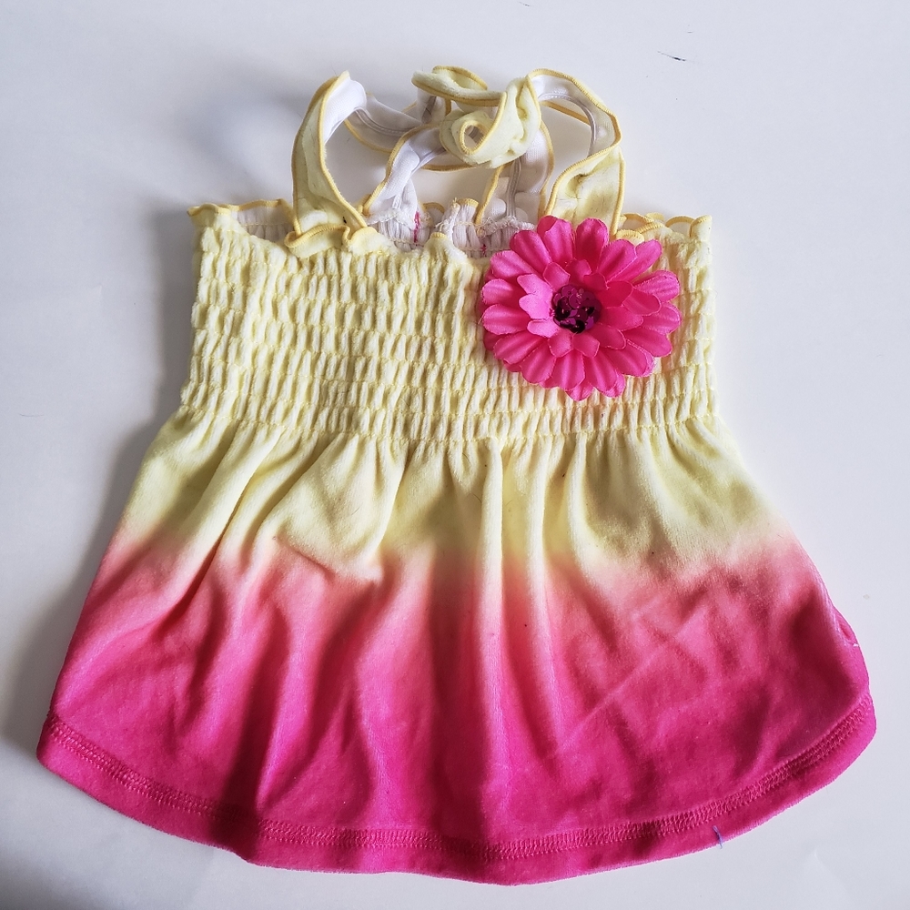 Super Cute Ombre Summer Dress for Dogs